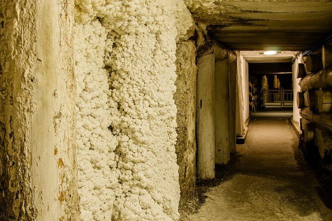 Auschwitz-Birkenau and Wieliczka Salt Mine Day Tour from Krakow with private car - The private-car advantage in Krakow’s real world