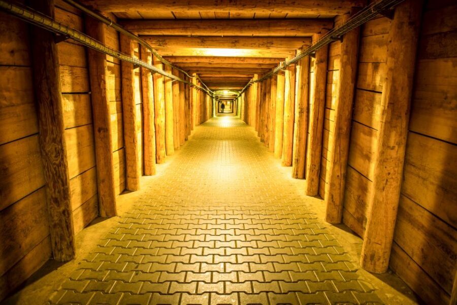From Krakow: Auschwitz and Wieliczka Salt Mine Full-Day Trip - The Birkenau walk: why this part can feel longer than you expect