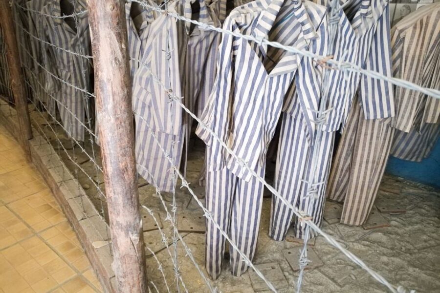 From Krakow: Auschwitz and Wieliczka Salt Mine Full-Day Trip - Group size and listening tips: how to not miss the good parts