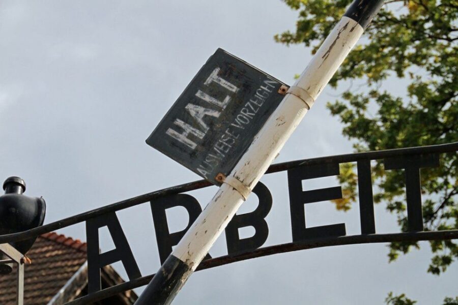 From Krakow: Auschwitz Birkenau and Salt Mine Guided Tour - Price and Value: Is About $120 a Good Deal?