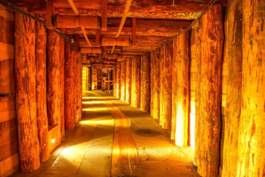 Krakow: Auschwitz-Birkenau and Wieliczka Salt Mine Day Trip - A packed 11-hour day in Lesser Poland: what the timing really means