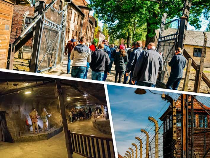 Krakow: Auschwitz & Wieliczka Salt Mine Guided Day Tour - Getting Picked Up in Kraków: Minivan Timing and Drop-Offs